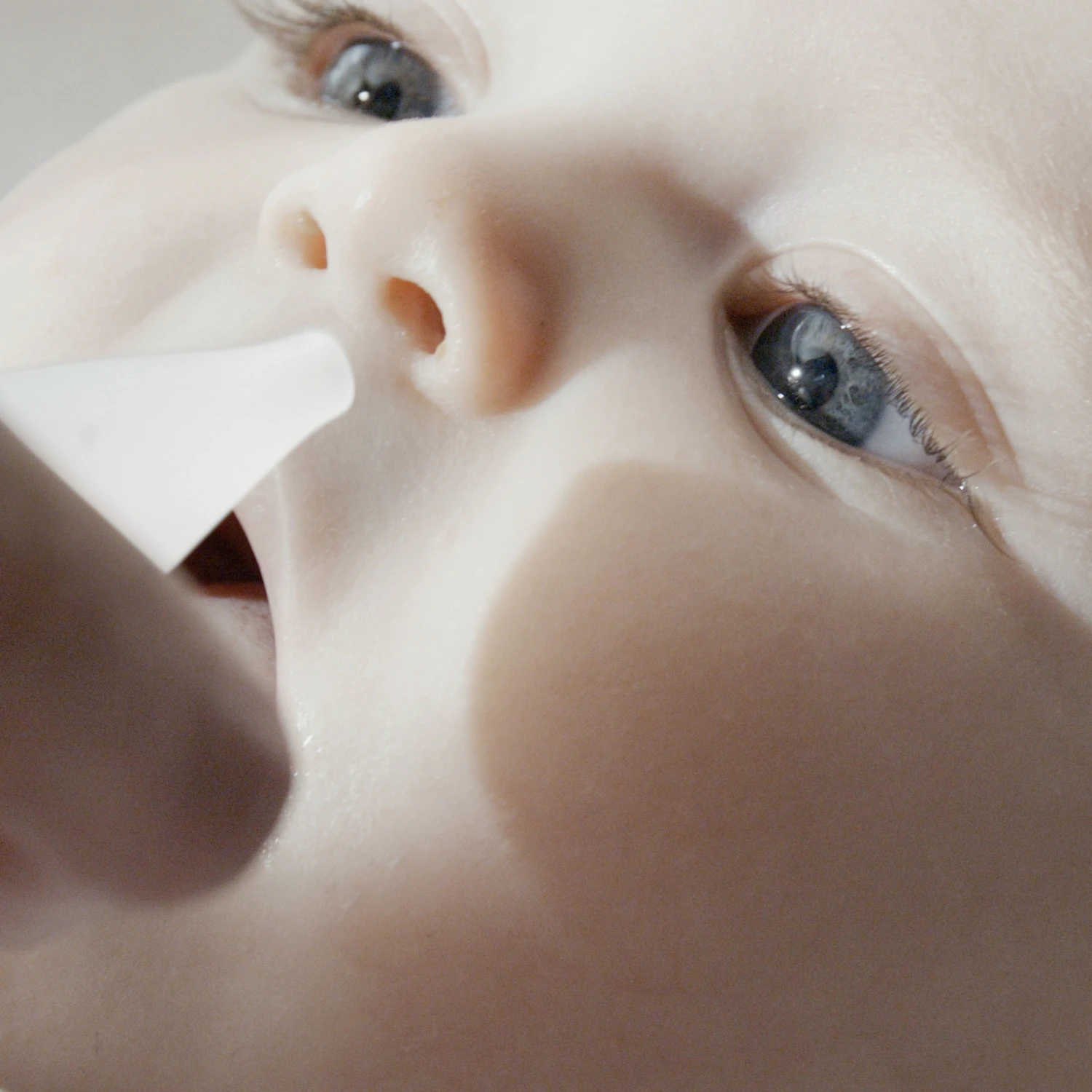 Mouche-bébé R’Evolution Bleu De Little Band – Image 6